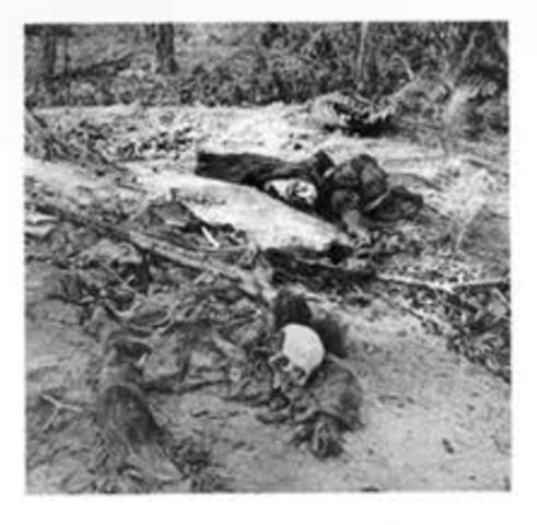 The Battle of Cold Harbor