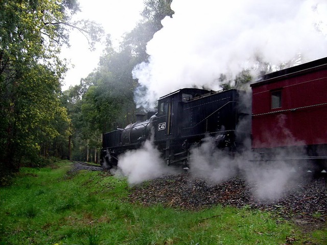 Puffing billy carries