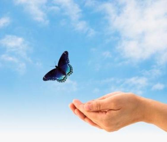 en1940alexander especifica las funciones de marketing; en su libro"marketing"