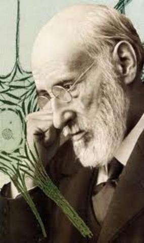 S. Ramón y Cajal