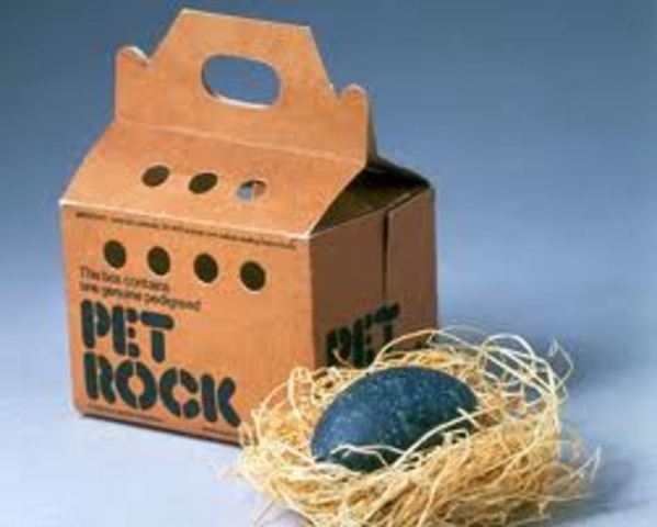 Pet rocks