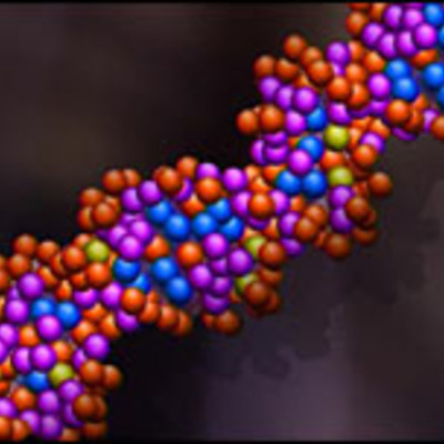 Timeline: Historia del ADN