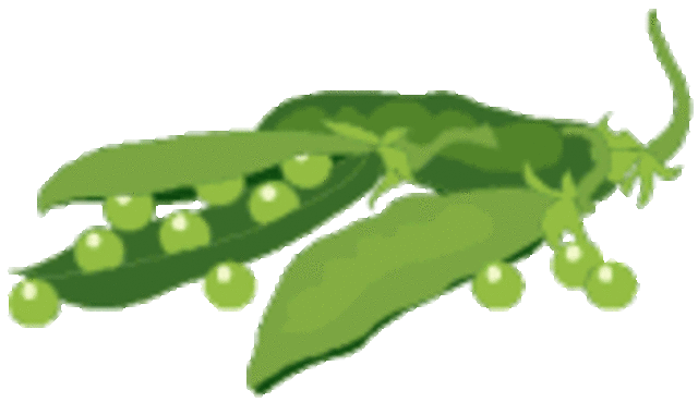 Redescubrimiento de los trabajos de Mendel