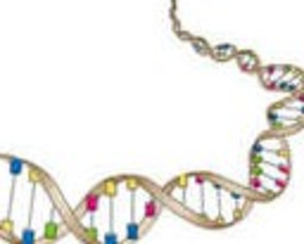 Factor Transformante