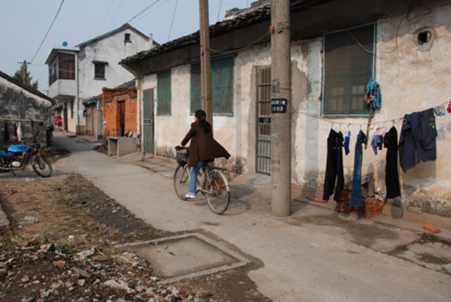 Environmental Problems and Landscape Changes