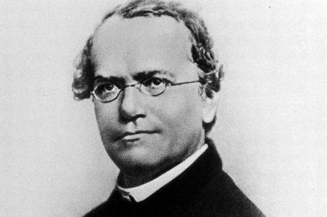 Gregor Mendel. 20/06/1821 - 6/01/1884