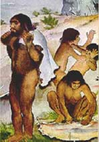 Homo sapiens neanderthalis
