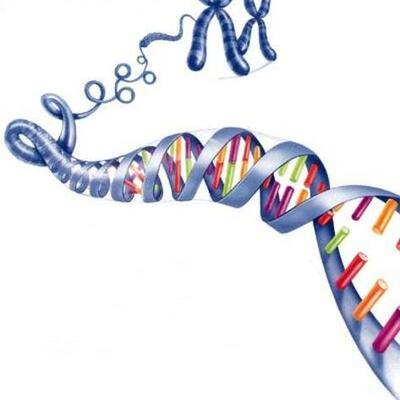 Timeline: Genetics Timeline