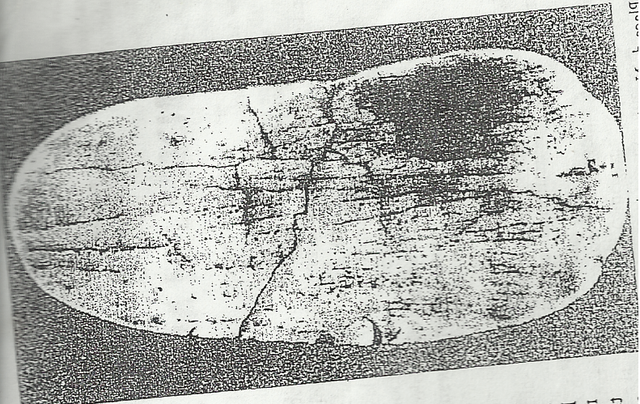 Publicacion de la foto de la placa Neanderthal de Tata