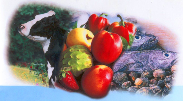 Un cambio teórico y metodológico imprescindible: la agroecología