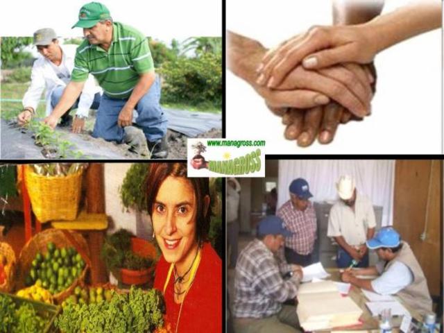 los fundamentos eco-sociales de la produccion agraria