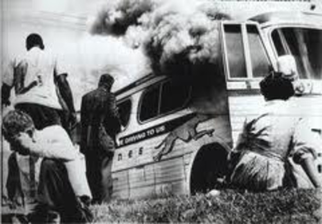 The Freedom Rides