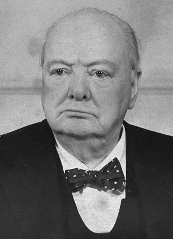 Winston Churchill and the SOE
