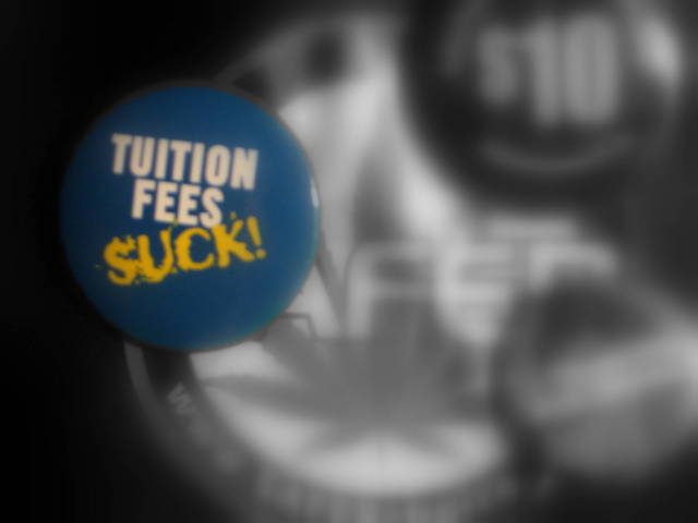 Teaching and Higher Education Act