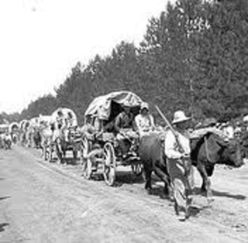 Wagon Train