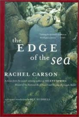 The Edge of the Sea