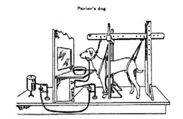 PSICOLOGIA  "APLICADA"