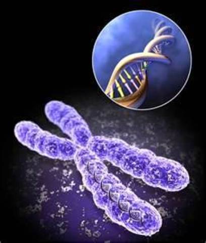 108. DNA Discovered