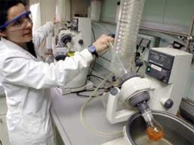 DESARROLLO DE LA CALIDAD