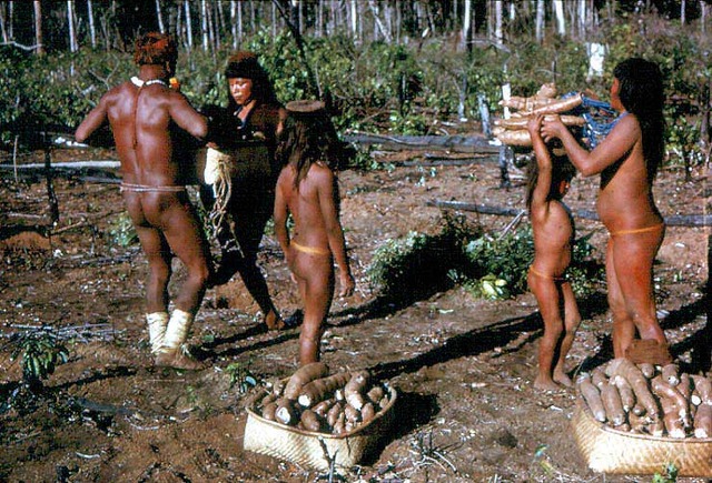 DIVISION SEXUAL DEL TRABAJO