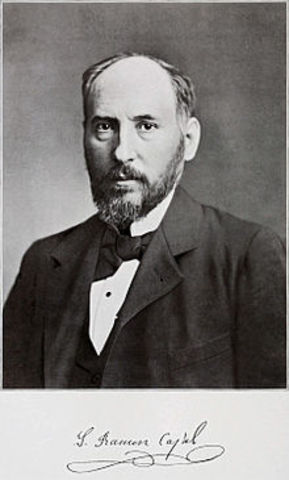 Ramón y Cajal