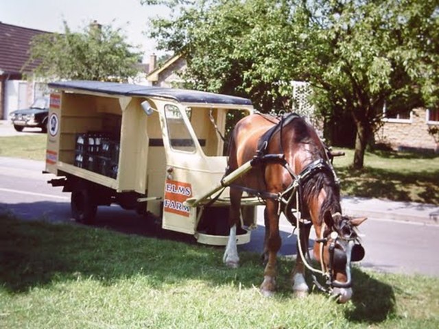 Dairy industry starts to flourish
