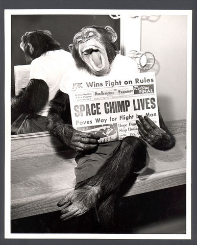 U.S. Launches Chimp In Space