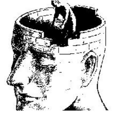 Timeline: Psicología