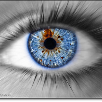 Timeline: Ongoing Timeline