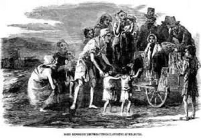 48. Potato blight first noticed in Ireland; The Irish Potato Famine begins (1845-1852)