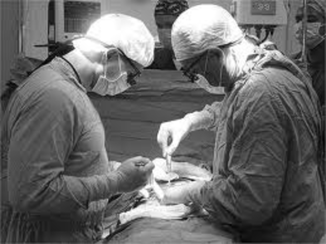 First Organ Transplant