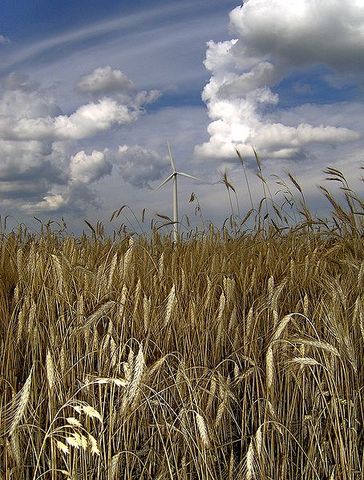 Revolución Neolítica