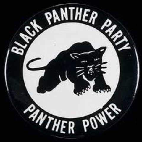 Black Panthers created