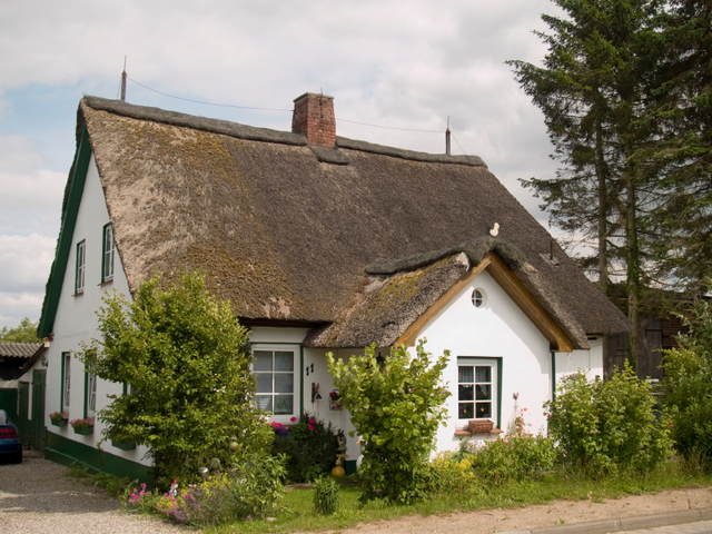 Exposition One: Background (Henry)