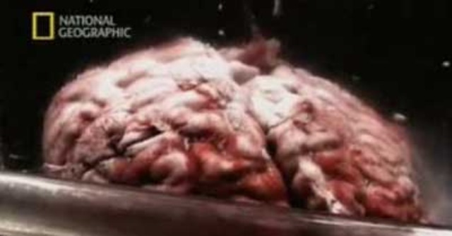 Death of Albert Einstein