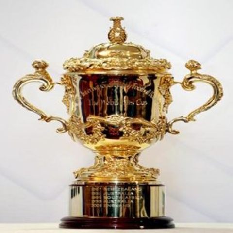 what place in the rugby world cup did frane?