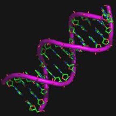 Timeline: descubrimientos del ADN