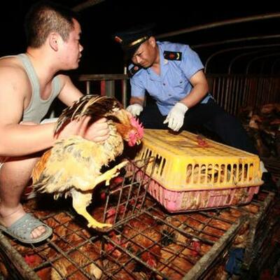 Timeline: Food Scandals in China