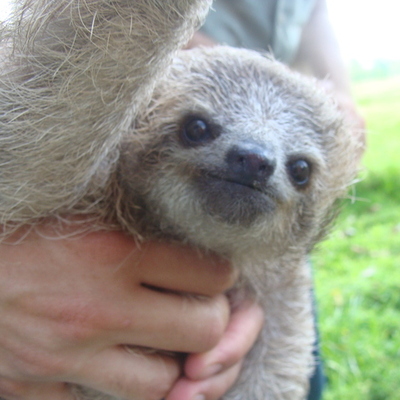 Timeline: mi línea docente
