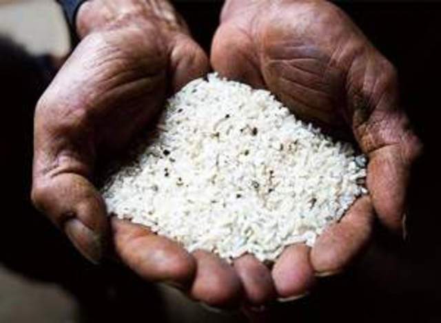 Heavy metals taint Chinese rice