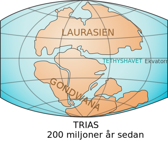 Gondwana och lite Laurasien