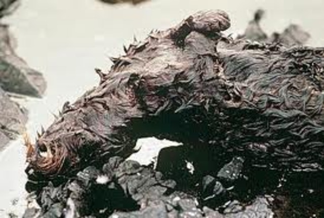 Valdez Oil Spill