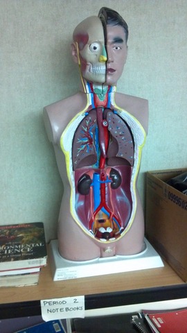 Sports Medicine/ Health Care essentials