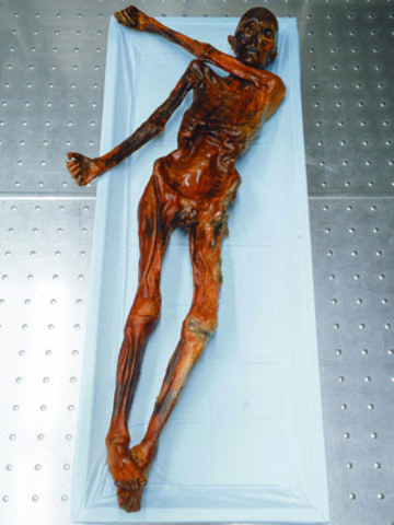 Found oldest known mummy (Iceman)