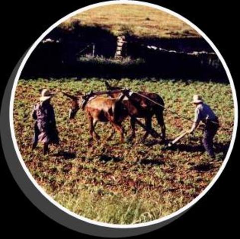 el hombre y sus cambios