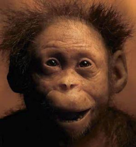 Otros australopitecinos