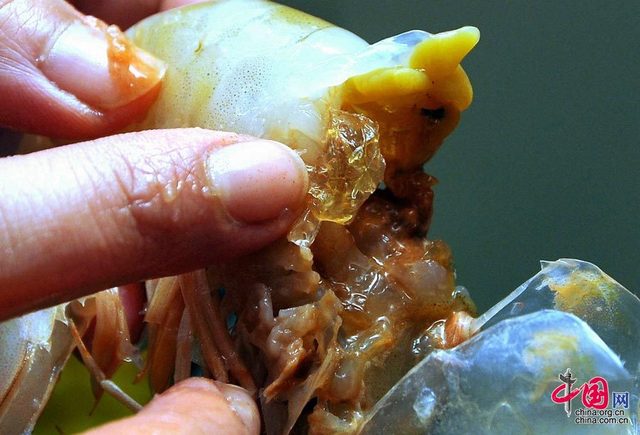 Shrimp gelatin injections in Tianjin