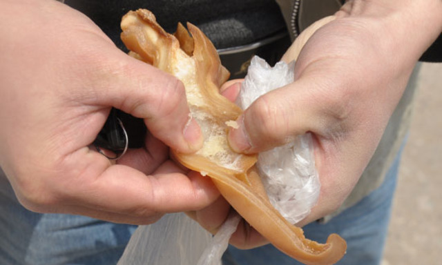 Fake pig ears may lead to heart problems