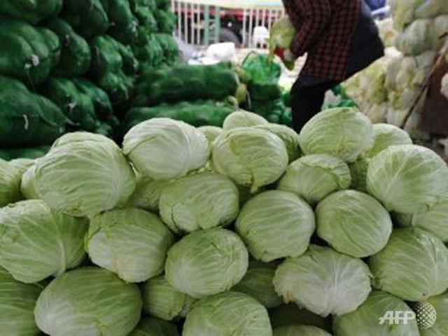 Formaldehyde cabbages cause for alarm