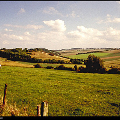 Timeline: Levi Zacharyasz Of Mice and Men